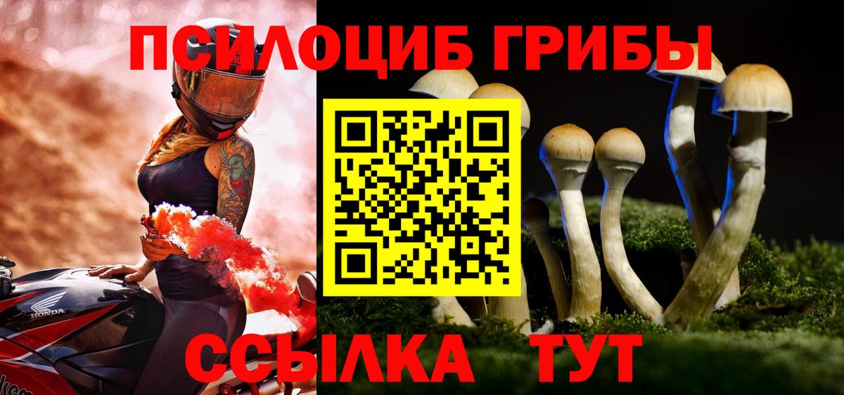 Галлюциногенные грибы Psilocybe Братск